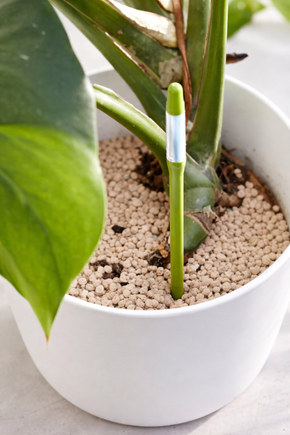 RootCue Water Sticks