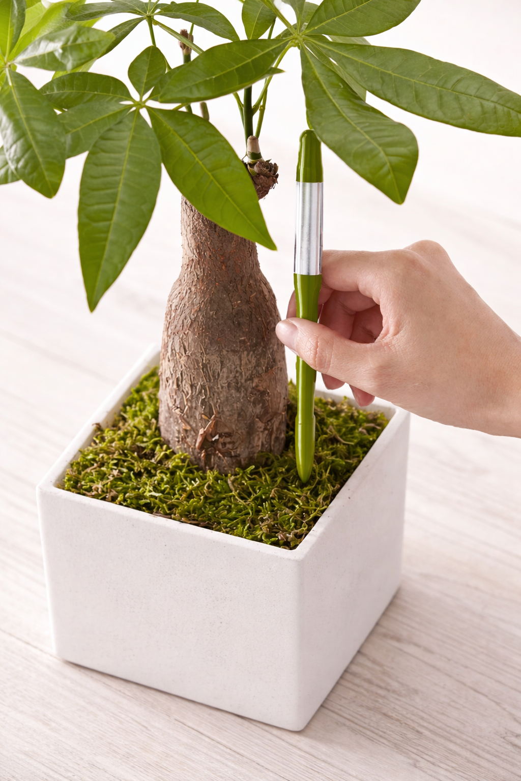 RootCue Water Sticks